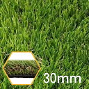 【人工芝セット 2m×10m 芝丈30mm】芝 人工芝 天然芝 庭 住宅 ベランダ バルコニー 土地 空地 敷地 エクステリア 芝キング 芝王 高品質 日曜大工...
