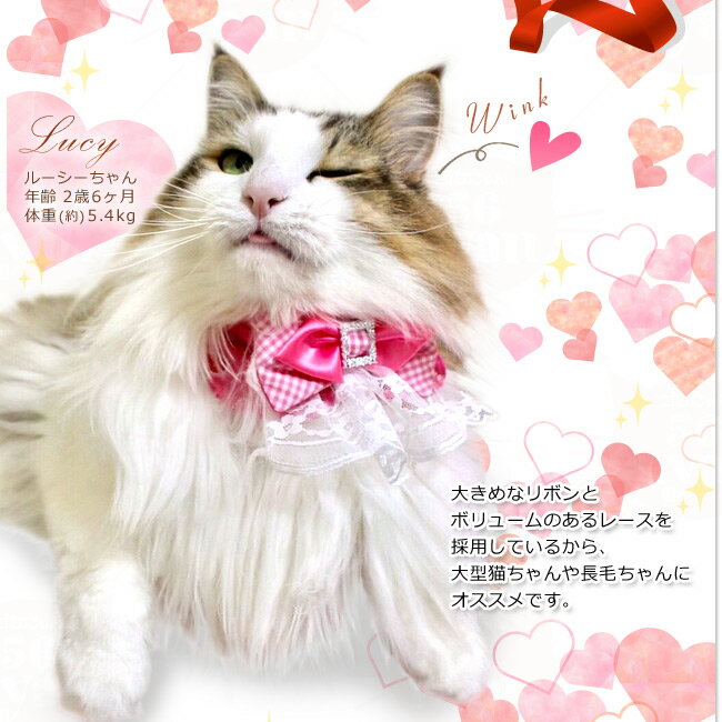 ゴロにゃんオリジナル 猫服フリルリボンピンクハートの紹介画像3
