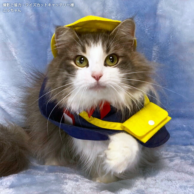 ゴロにゃんオリジナル 猫服 ワンタッチコーデシ...の紹介画像3
