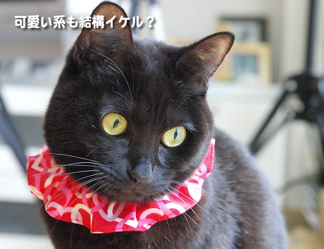 �����ˤ�󥪥ꥸ�ʥ� �ǥ��꡼ǭ�� �ϡ��ȥϡ��ȥԥ󥯥ϡ��� L������