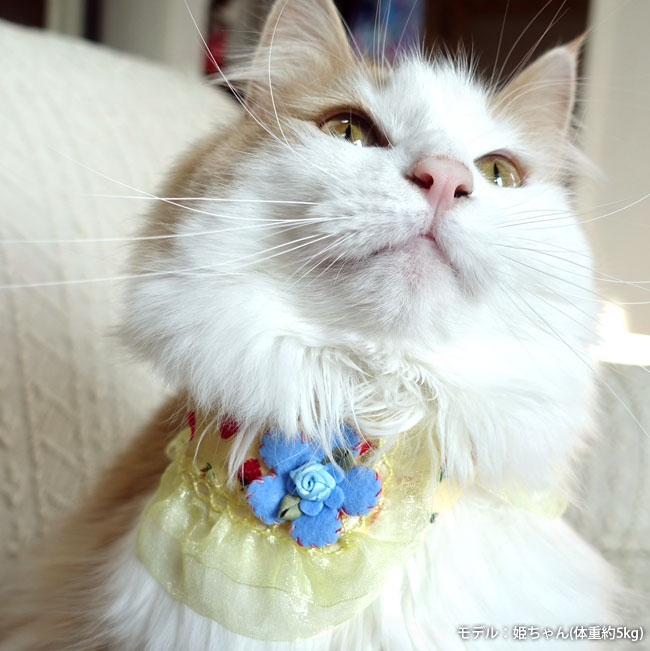 いちご柄レース付き猫服 猫用 おしゃれの紹介画像3