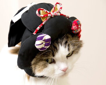 ゴロにゃんオリジナル 猫用面白かつら にゃん晴れ!文金高島田 猫用コスプレ 着物