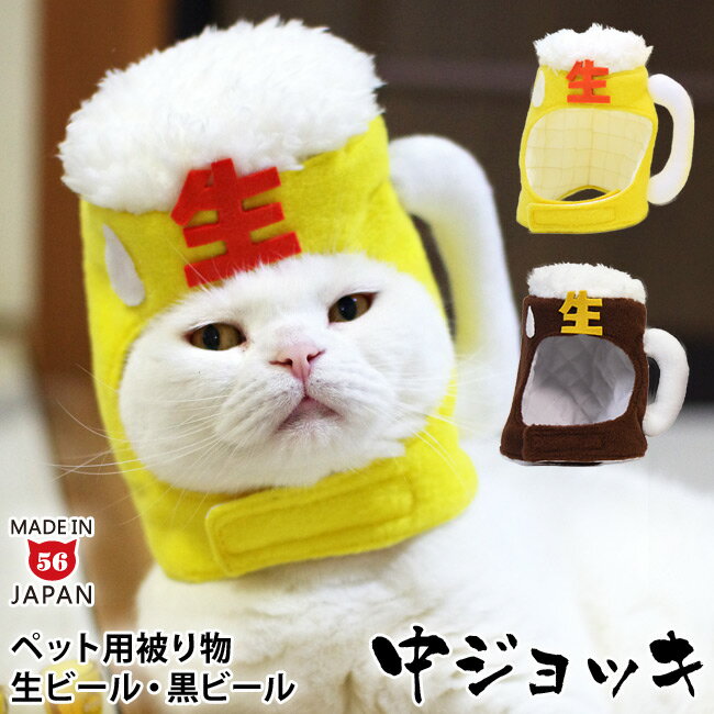 ȤΥ˥ǥץ쥤εꡦ¤ƼˤäƼºݤο礤Ȥϰۤʤäɽ뤳Ȥޤ餫ᰭ餺λ