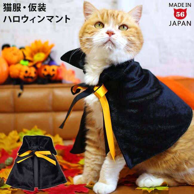 猫のハロウィンコスプレ｜かわいい猫用仮装グッズ！人気のペット帽子や