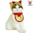 【開運招福!招き猫セット】まさしく招き猫!これは縁起がいいのです。猫ちゃんの変身セット決定版!