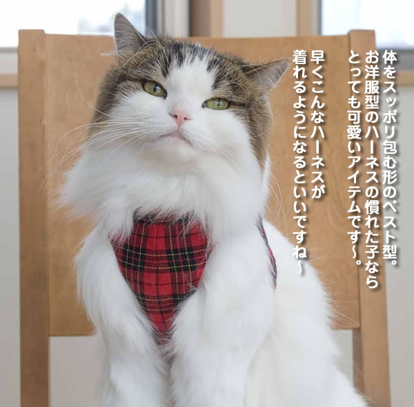 ゴロにゃんオリジナル猫用ハーネス ベストタイプ チェック柄 Mサイズ