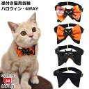 ゴロにゃんオリジナル ちょこえり猫首輪 ハロウィンキャット