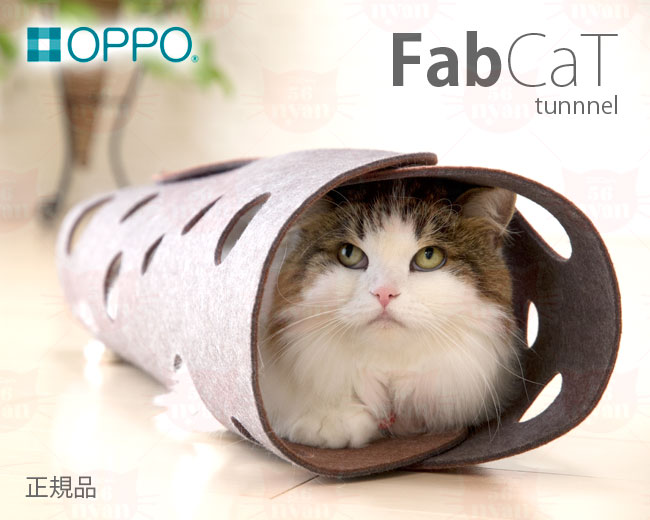 OPPO FabCat tunnel t@uLbggl (6267) Lp LbggCyz