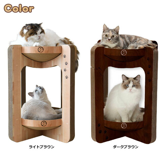 猫壱 バリバリボウルタワー レギュラーサイズ DC-0852 nekoichi ねこいち ネコ ね...