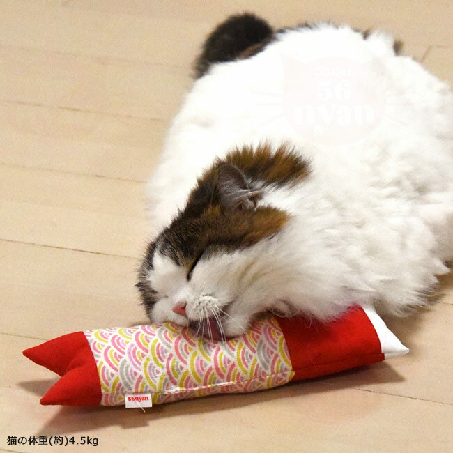 �����ˤ�󥪥ꥸ�ʥ� �ʤᤱ�륭�å��� ��Τܤ� �֡���2�����å� �ե���������֤ȥץ쥼����դ�