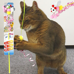 ����ƥ����ޥ� �����ǭ�֥�֥�(�ߥĥХ�) ǭ�Ѥ���餷 �������