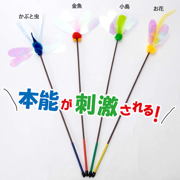 �ڥåĥ롼�� �����㥫���㤸���� �¿�����������������ǭ�Ѥ���餷 �������