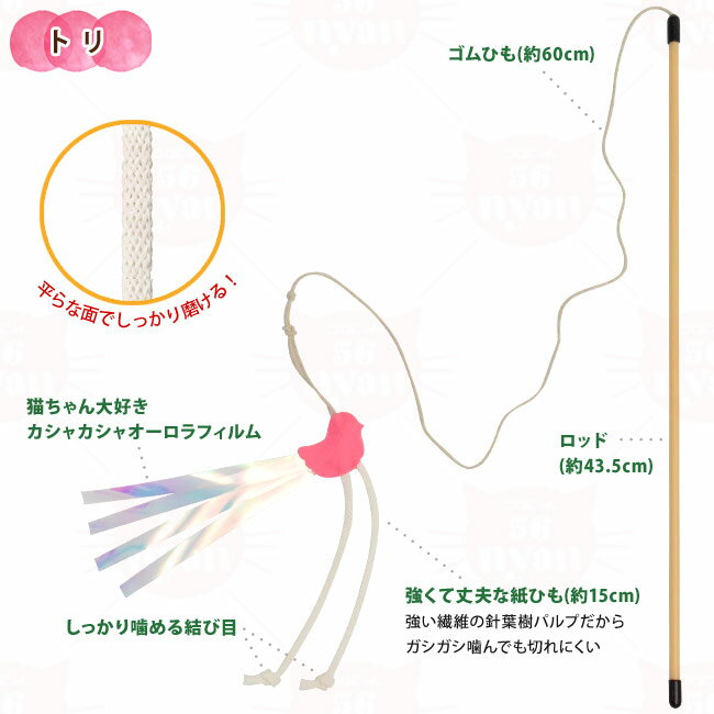 �ڥåĥ롼�� �����㥫�����Ҥ⤸��餷 ǭ�� ���ߤ����������