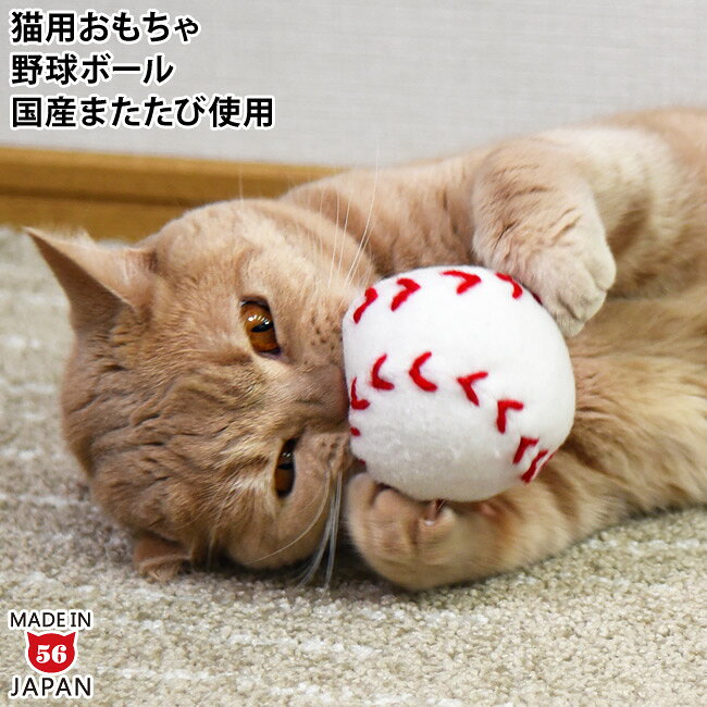 ȤΥ˥ǥץ쥤εꡦ¤ƼˤäƼºݤο礤Ȥϰۤʤäɽ뤳Ȥޤ餫ᰭ餺λ