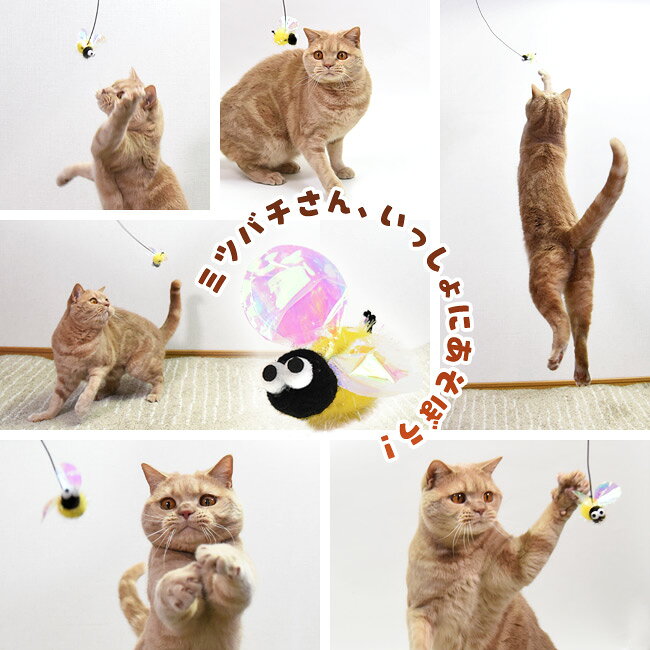 �ߥˤ���餷 �Ȥˤ����ڤ�������� �ߥĥХ� (37002) �����ˤ�� 56nyan �Ȥˤ������Τ��� ǭ ������� ǭ����餷 ��ȥ����� ǭ���å� ���ȥ쥹��� ��ư��­���