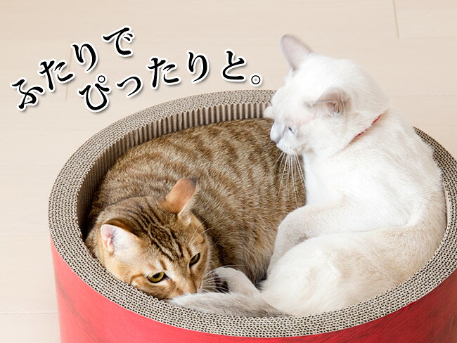 ガリガリサークルスクラッチャー ビッグ またたび付 猫用爪とぎ つめとぎ (03762) 商品画像3