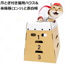 猫用爪とぎ とびばことんでミルにゃん(58013) & 体操服 (エンジ) と赤白帽のセット(27300)【特箱】
