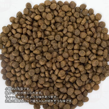 ソリッドゴールド インドアキャット室内猫用 アラスカ産サーモン・ヒラマメ&リンゴ 500g ドライフード (63113)