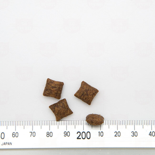 ���˥��� �ߥ륭���ӥå� ������ͥ� �ӥ�����&�ӥ��ߥ� (83116) ǭ�� ���ʥå� ����� ����󥭡��ӥå�