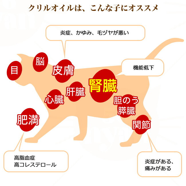 カントリーロード ナチュラルハーベスト プチクリルオイル 30粒入り (09954) 犬猫用サプリメント 56nyan-10007354 猫用品のゴロにゃん 楽天市場店 サンプル画像2