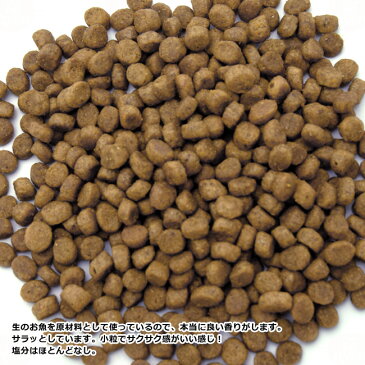 NOW FRESH ナウ フレッシュドライフード フィッシュアダルトキャット 1.81kg (3575)