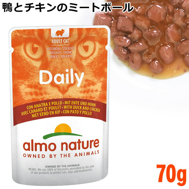 �ڥݥ����10�ܡۥ����ͥ����㡼 �ǥ��꡼��˥塼 ���ȥ�����Υߡ��ȥܡ��� 70g�ѥ��� (5276) �����åȥա���