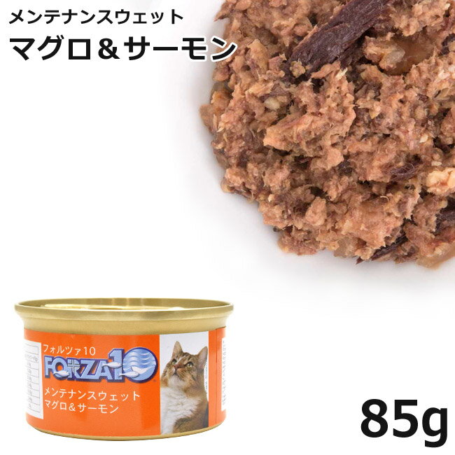 フォルツァ10 キャット メンテナン