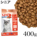 フォルツァ10 キャット ミスターフ