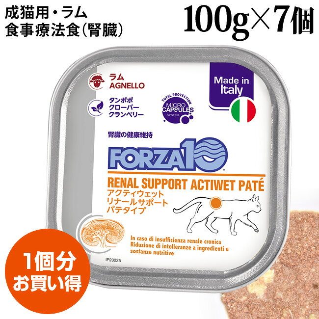 フォルツァ10リナールアクティウェ...