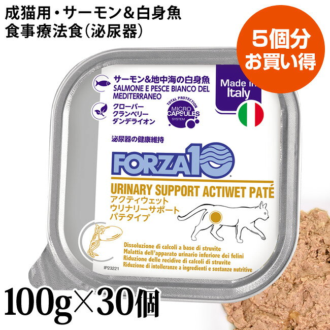 フォルツァ10アクティブラインウリ...
