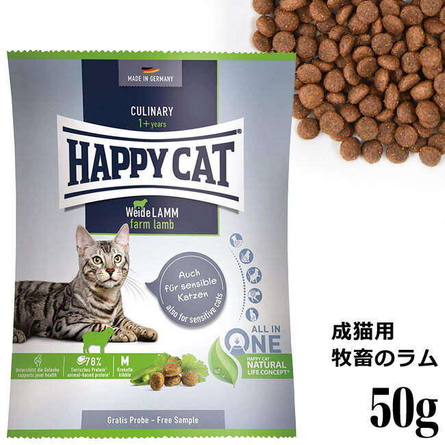 HAPPY CAT ハッピーキャット カリナリ