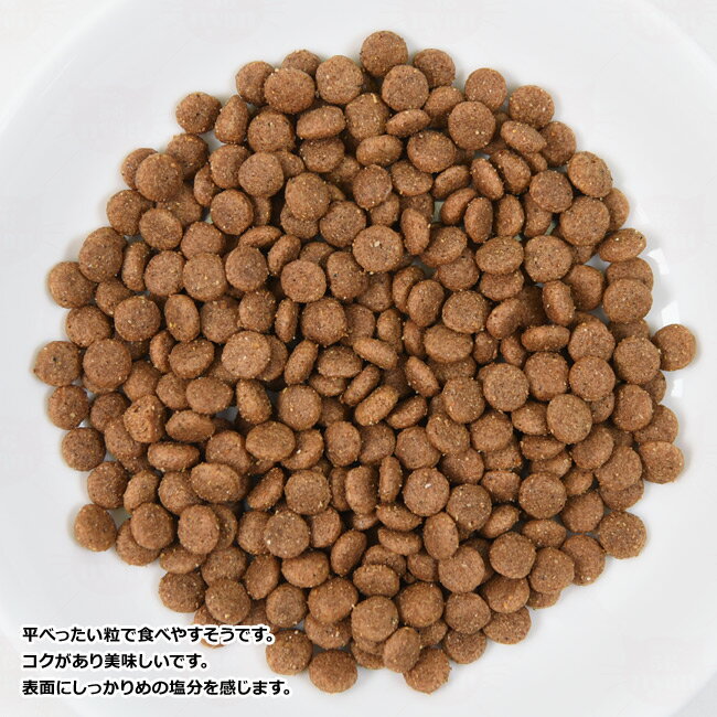 HAPPY CAT ハッピーキャット シニア アトランティックサーモン 300g (41115) (旧スプリーム ベストエイジ10+) 高齢猫用 ドライフード 56nyan-10002929 猫用品のゴロにゃん 楽天市場店 サンプル画像2