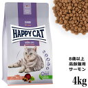 HAPPY CAT ハッピーキャット シニア アトランティックサーモン 4kg (41153) (旧スプリーム ベストエイジ10 ) 高齢猫用 ドライフード