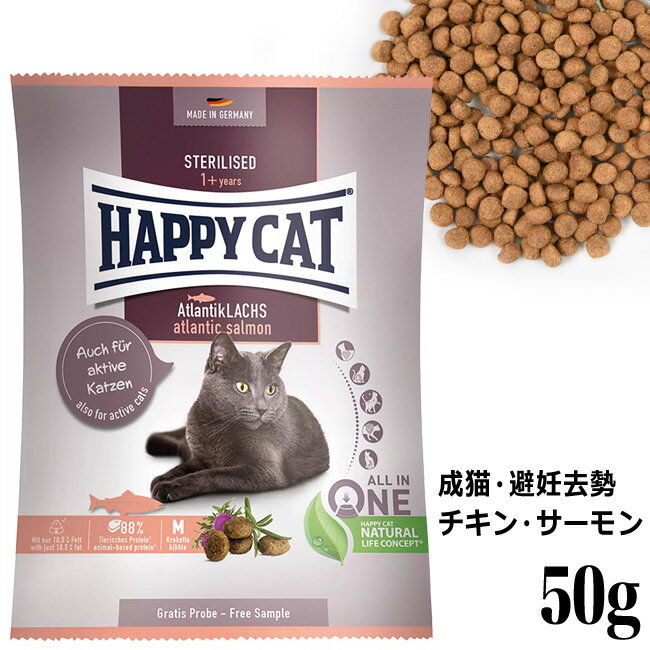 HAPPY CAT nbs[Lbg Lp XeACYh DEp 50g (40569) Tv