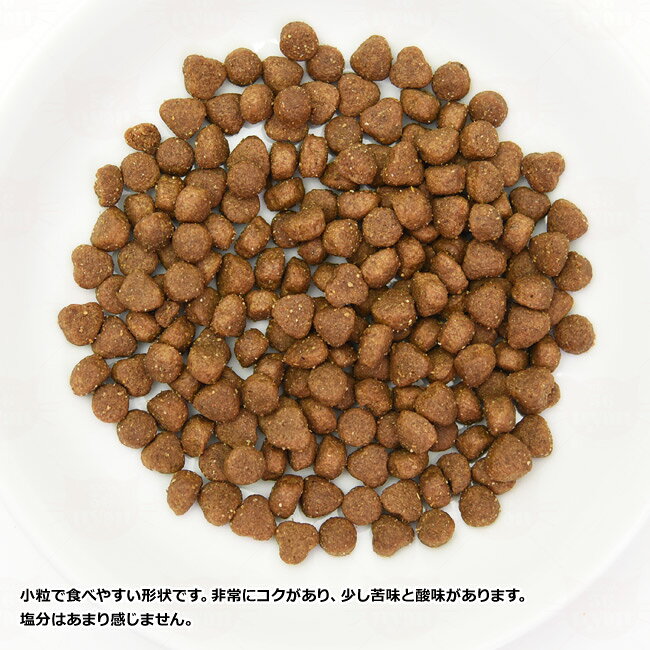 ハッピーキャット ケア スキン&コート 皮膚被毛ケア 50g (40910) HAPPY CAT センシティブ 総合栄養食 ドライフード 成猫 シニア猫用 サンプル 56nyan-10007414 猫用品のゴロにゃん 楽天市場店 サンプル画像2