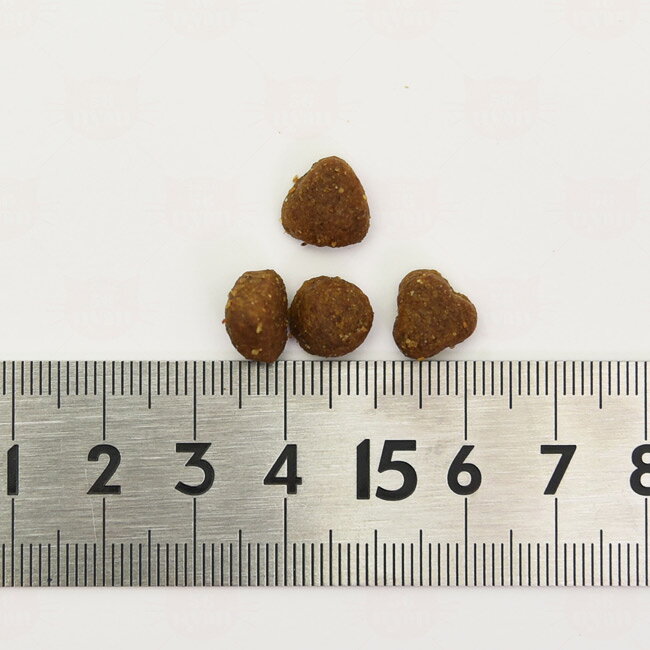 ハッピーキャット ケア スキン&コート 皮膚被毛ケア 50g (40910) HAPPY CAT センシティブ 総合栄養食 ドライフード 成猫 シニア猫用 サンプル 56nyan-10007414 猫用品のゴロにゃん 楽天市場店 サンプル画像3