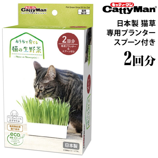 キャティーマン おうちで育てる 猫の生野菜 2回分 (45402) 猫用 猫草 猫の草 毛玉対策 日本製