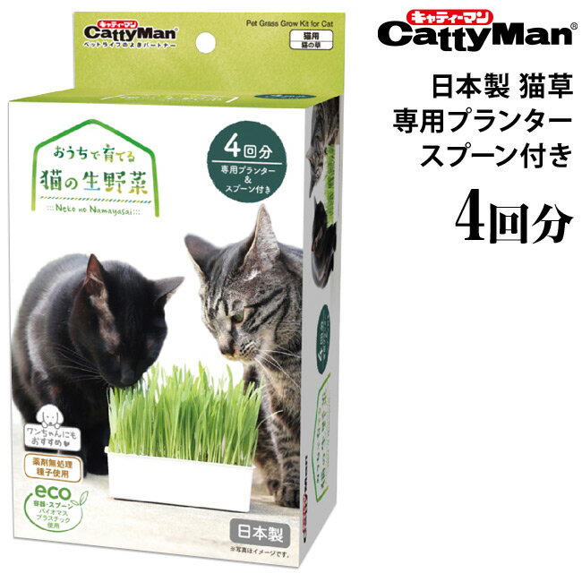 キャティーマン おうちで育てる 猫の生野菜 4回分 (45419) 猫用 猫草 猫の草 日本製 1