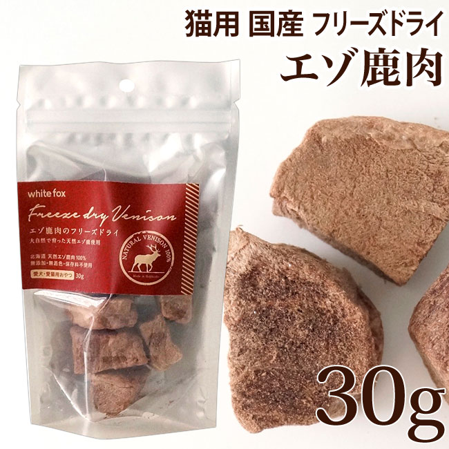 【お買い物マラソン】【セット】サンライズ ニャン太のとってもおいし草 40g SNY-003×60個セット【happiest】【宅配便送料無料】 ※他商品との同梱不可【宅配便送料無料】 (6029016-set6)