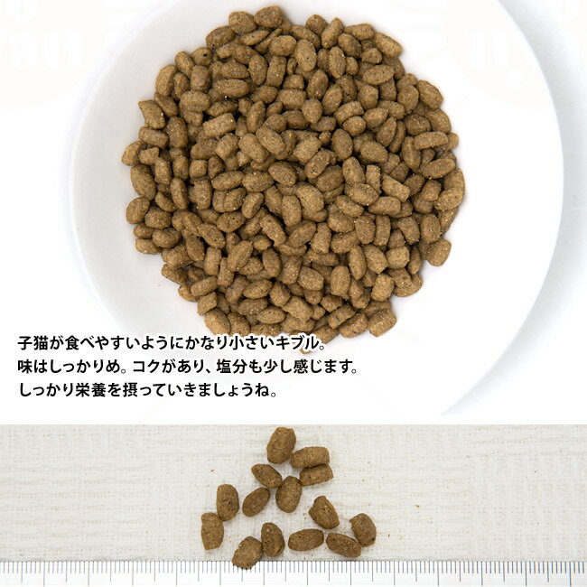 ニュートロ ナチュラルチョイス キャット 室内猫用 キトン チキン 500g (85337) ドライフード