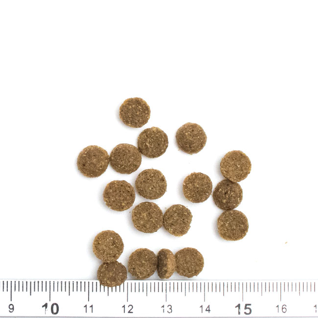 KiaOra キアオラ キャット グラスフェッドビーフ＆レバー 900g 総合栄養食 (20947)