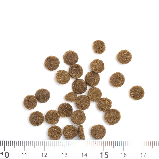 KiaOra キアオラ キャット カンガルー 300g 総合栄養食 (20329) 56nyan-10006326 猫用品のゴロにゃん 楽天市場店 サンプル画像3