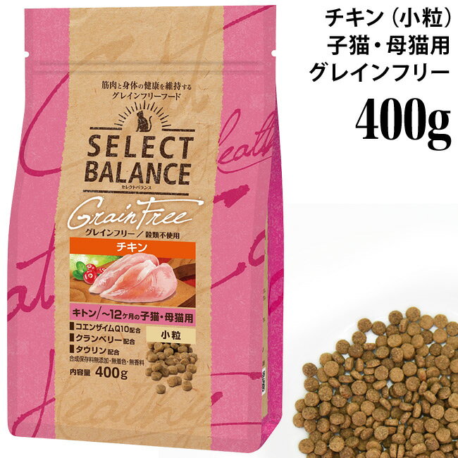 쥯ȥХ å 쥤ե꡼ ȥ  400g (07047) ǭ ǭ ܿ ʪԻ ɥ饤ա