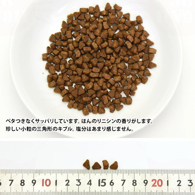 アンブロシア キャット ターキー&ヘリング 1.5kg (32255) AMBROSIA クラシックシリーズ ドライフード グレインフリー プロテイン ニシン