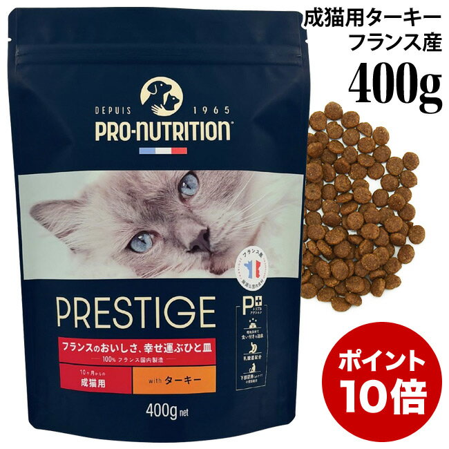 �ڥݥ����10�ܡۥץ쥹�ƥ����� ǭ�� ������� with �������� 400g (35413) 10��������ǭ�� �ɥ饤�ա��� ������ܿ�