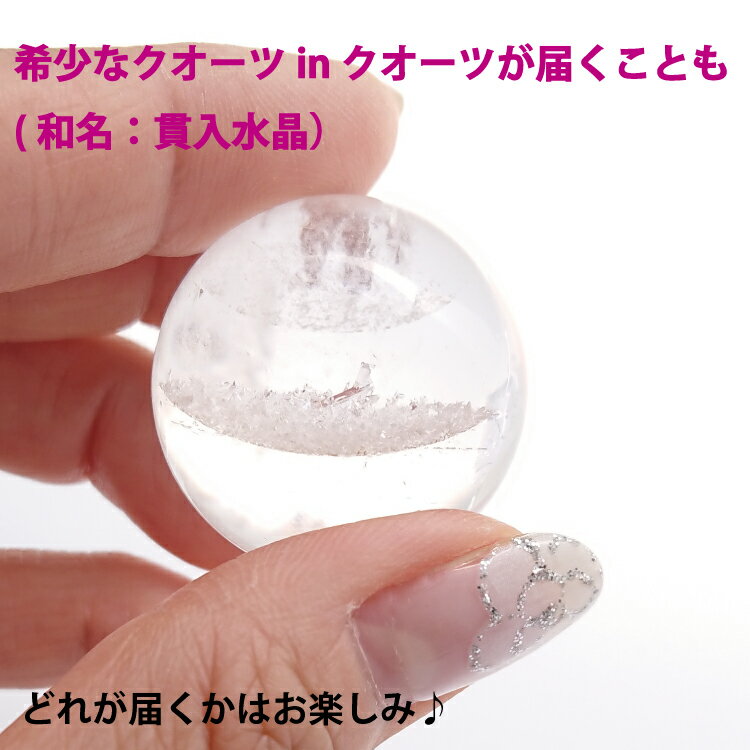 �ڳ�ŷ1�̡ۿ徽�� ŷ�����ꥢ ����AAAA �����徽 30mm ����ŷ�����󥯥롼��������� �����徽 �ѥ���ȡ��� ���� ��ʪ �֤�ʪ ζ ����ƥꥢ ���� ����