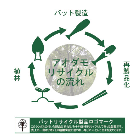 名入れ無料 折れたバットで作ったかっとばし 特製デザイン桐箱付き WOMEN LOVE BASEBALL!! 大人用・子供用全12種 21.5cm カープ女子/(箸/名入れ/出産祝い/名前入り/野球女子/ギフト/記念品/景品/) M39M ngift【RCP】