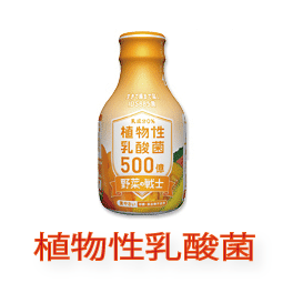 野菜の戦士　黄色8種類のヤサイと生きた植物性乳酸菌の2つの自然のチカラをたっぷり 1ケース（15本入） 大塚製薬 [冷]　M39M【RCP】