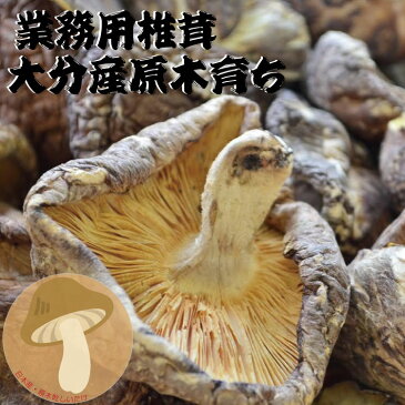 九州産 【訳あり】原木乾椎茸【梅】65g しいたけ 【ワレ・カケ・バラ】平成30年度産 大分県/無農薬/肉厚/国産/原木椎茸/だし/離乳食/自然食/無添加/たっぷり/おせち/正月 M39M【RCP】