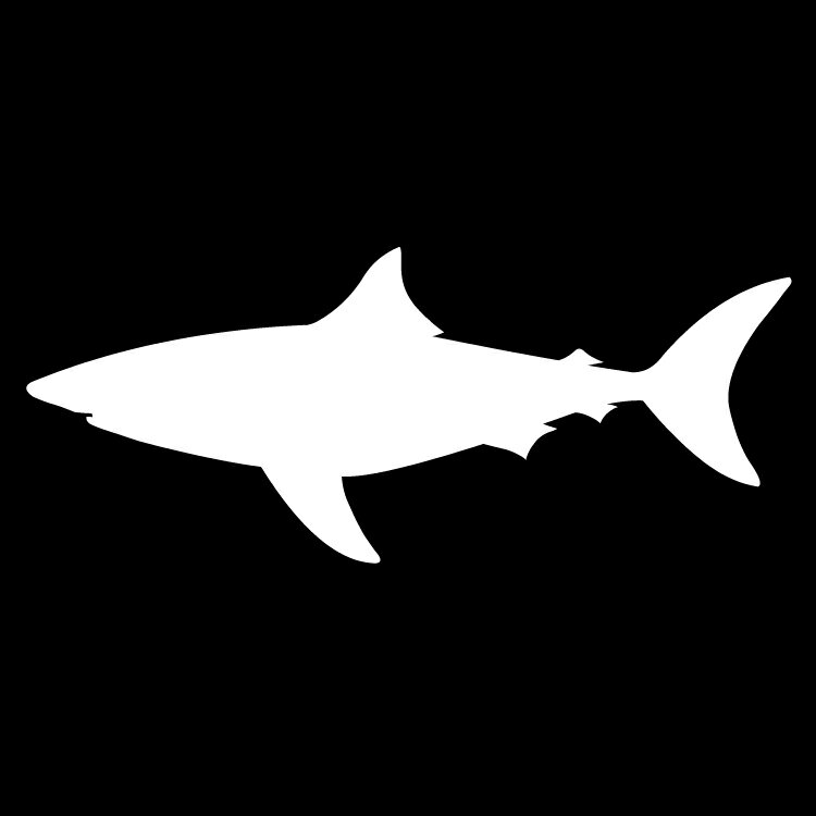 サメ シャーク ステッカー 海の生き物/おしゃれステッカー/アクリルプレート/パーテーション/車/ガラス/窓/装飾/デコ/【メール便送料無料】
